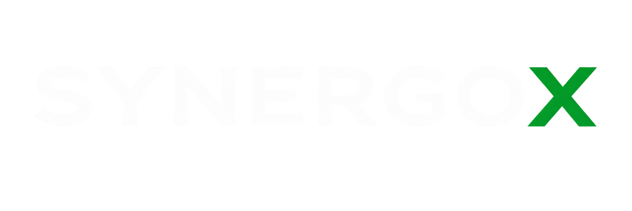 Logo SYNERGOX blanc transparent
